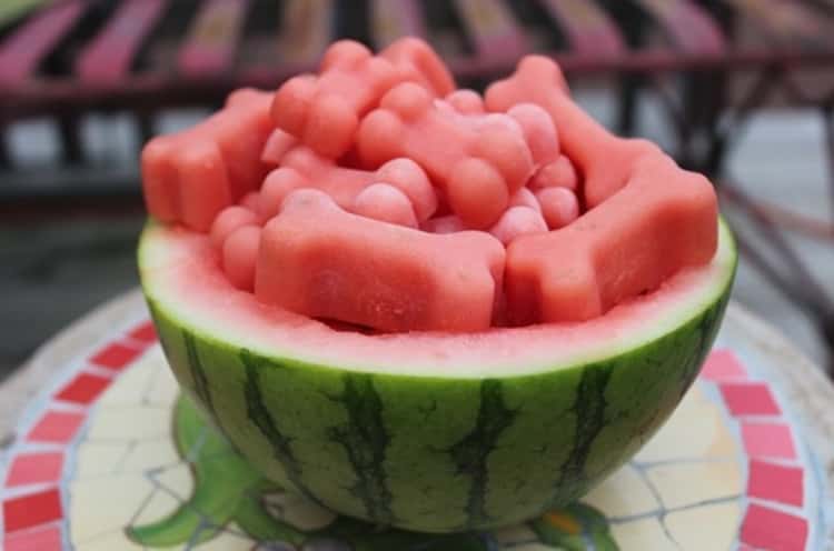 Frozen water melon treats