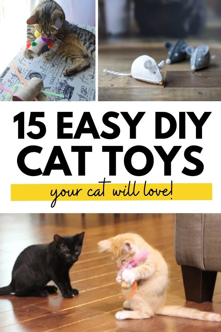 easy diy cat toys your kitties will love