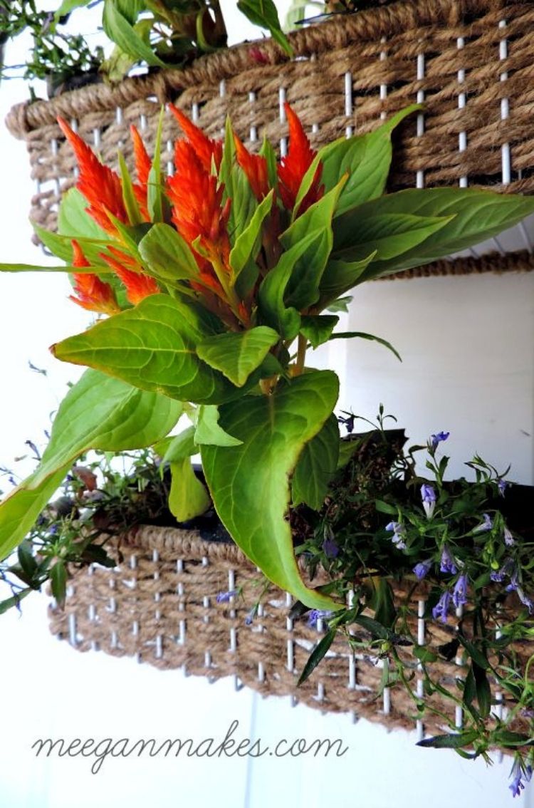 Your old spice rack can be transformed into a great place to house your indoor wall plants. 