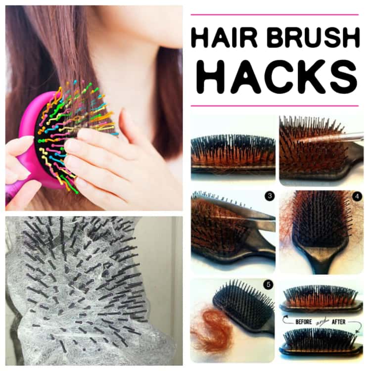 A collage picture showing different brushes with hair build up in them.