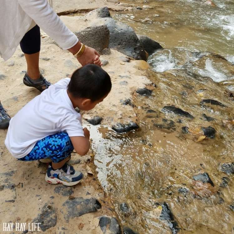 OneCrazyHouse budget friendly summer activities Child being held by the hand, kneeling over a river