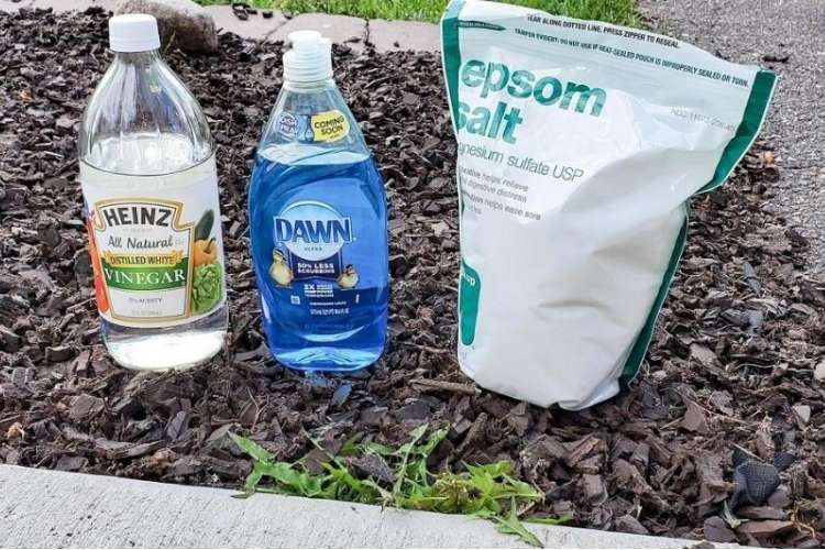 Amazing Ways To Use Dawn Dish Soap That Will Make Your Life Easier