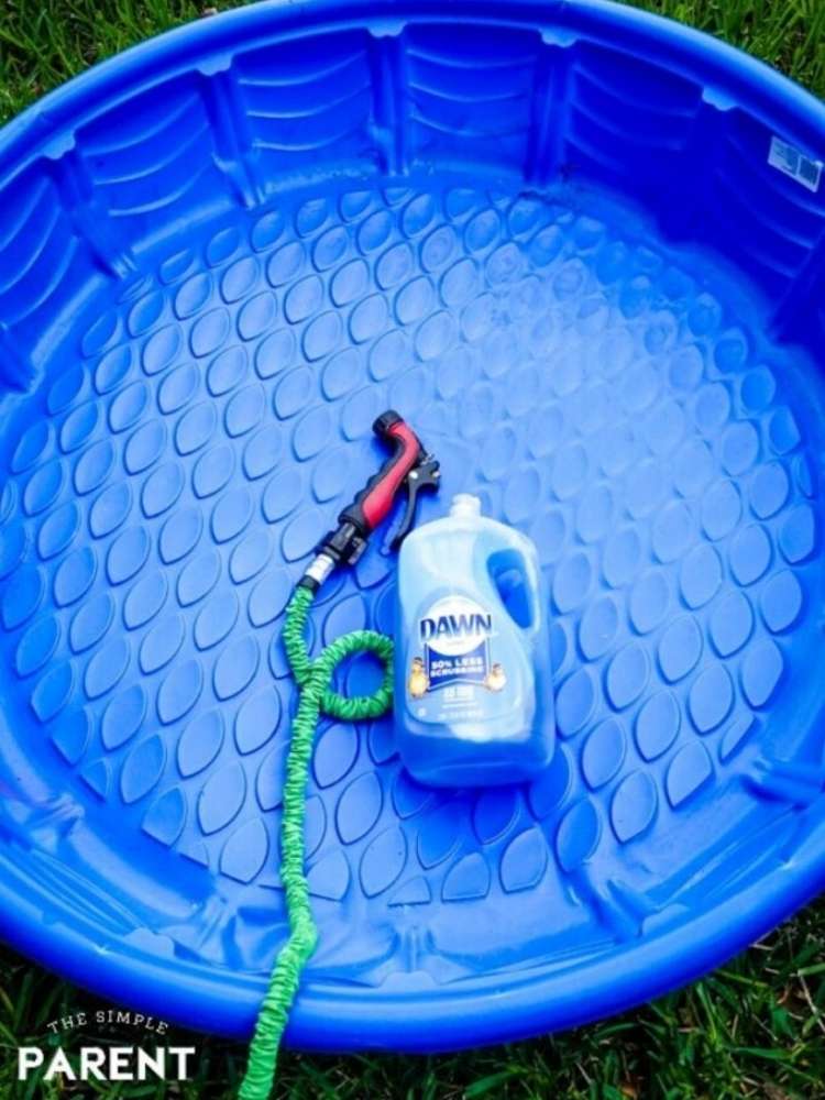 OneCrazyHouse dawn dish soap kiddie pool with a bottle of dawn dish soap and hose inside.