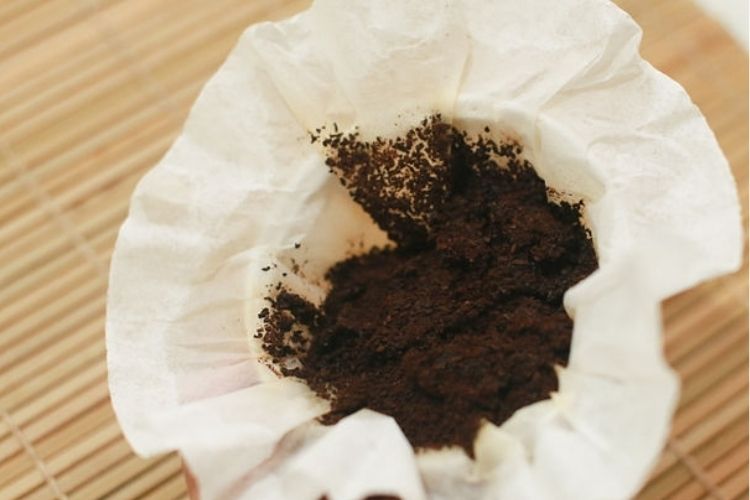 coffee grounds in a paper filter