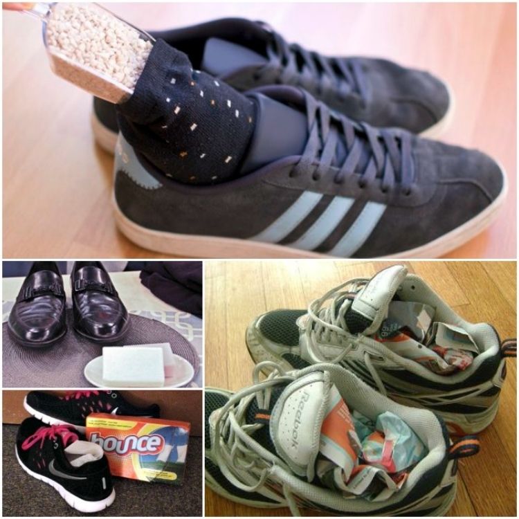 collage of stinky shoe freshners