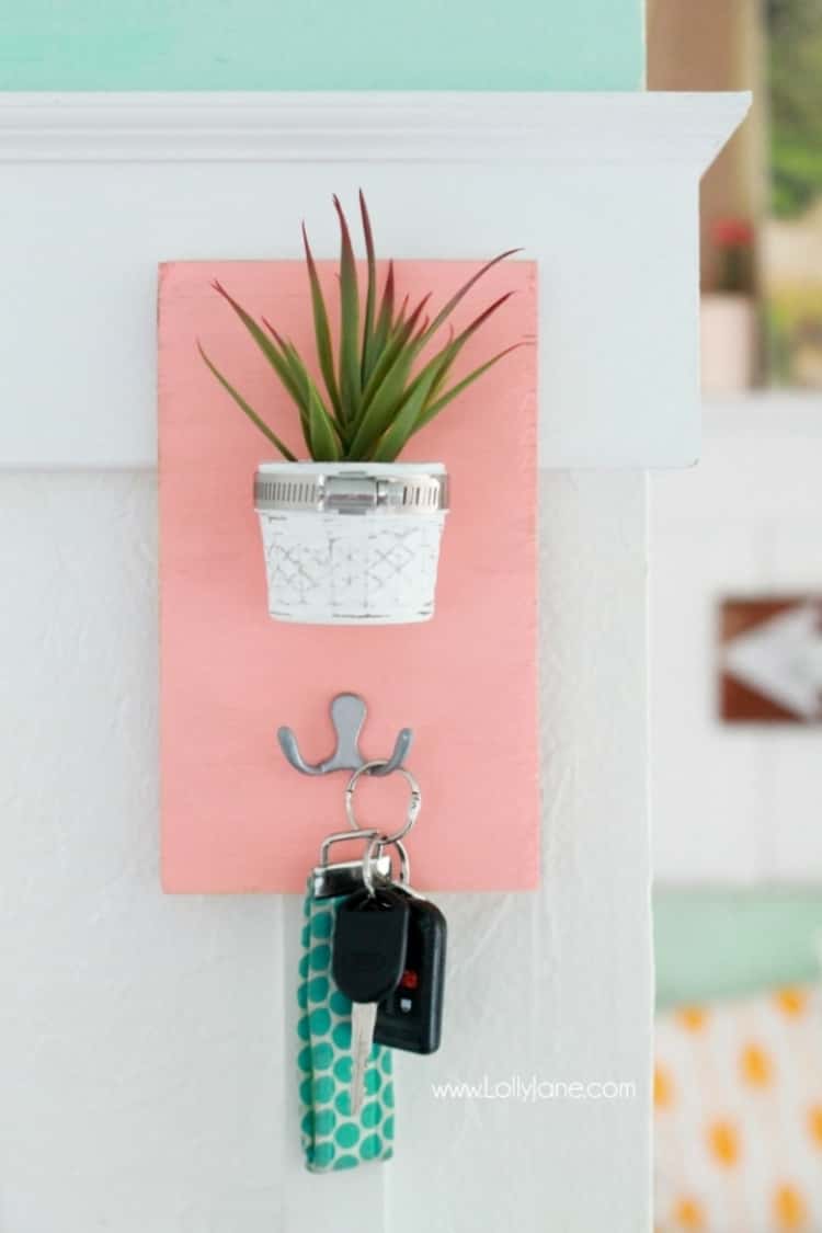 DIY Succulent Key Holder to Keep Truck of Keys