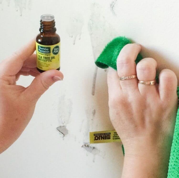 Essential oils being rubbed on a wall with a microfiber cloth to remove marks while cleaning walls