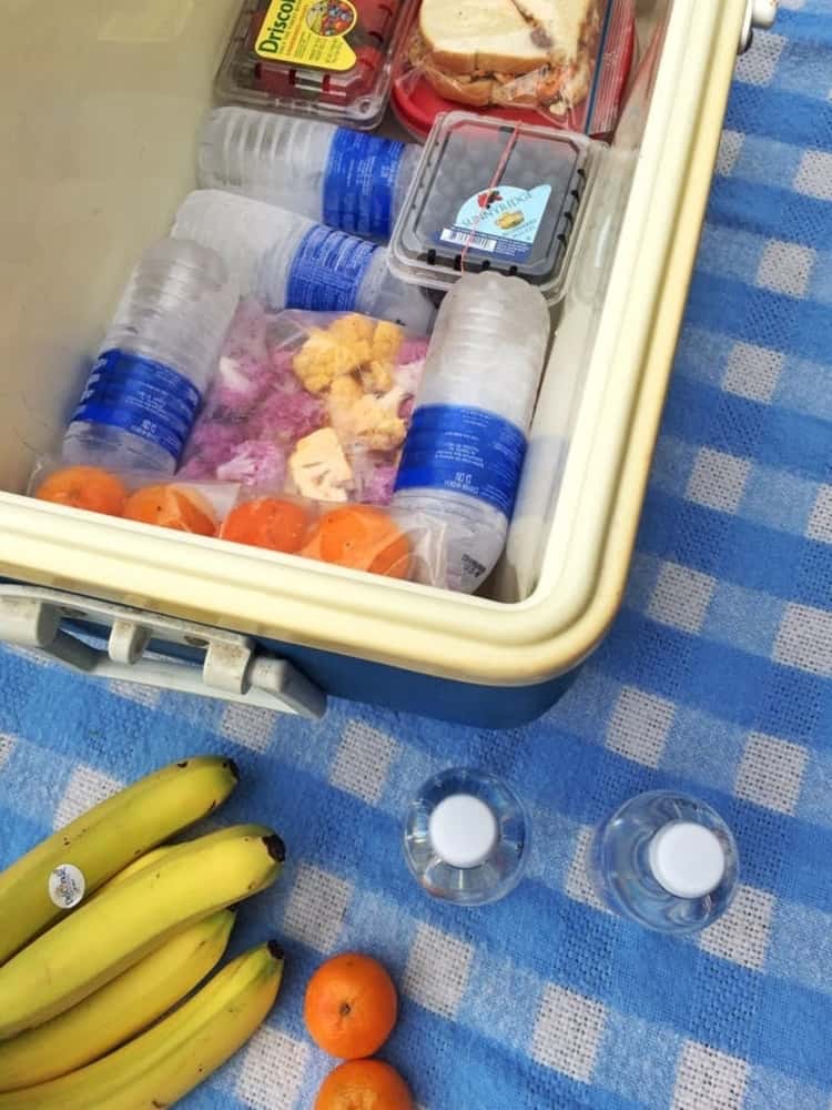 a picnic cooler packed with sandwiches, fruits, and frozen water bottles to keep your stuff cold