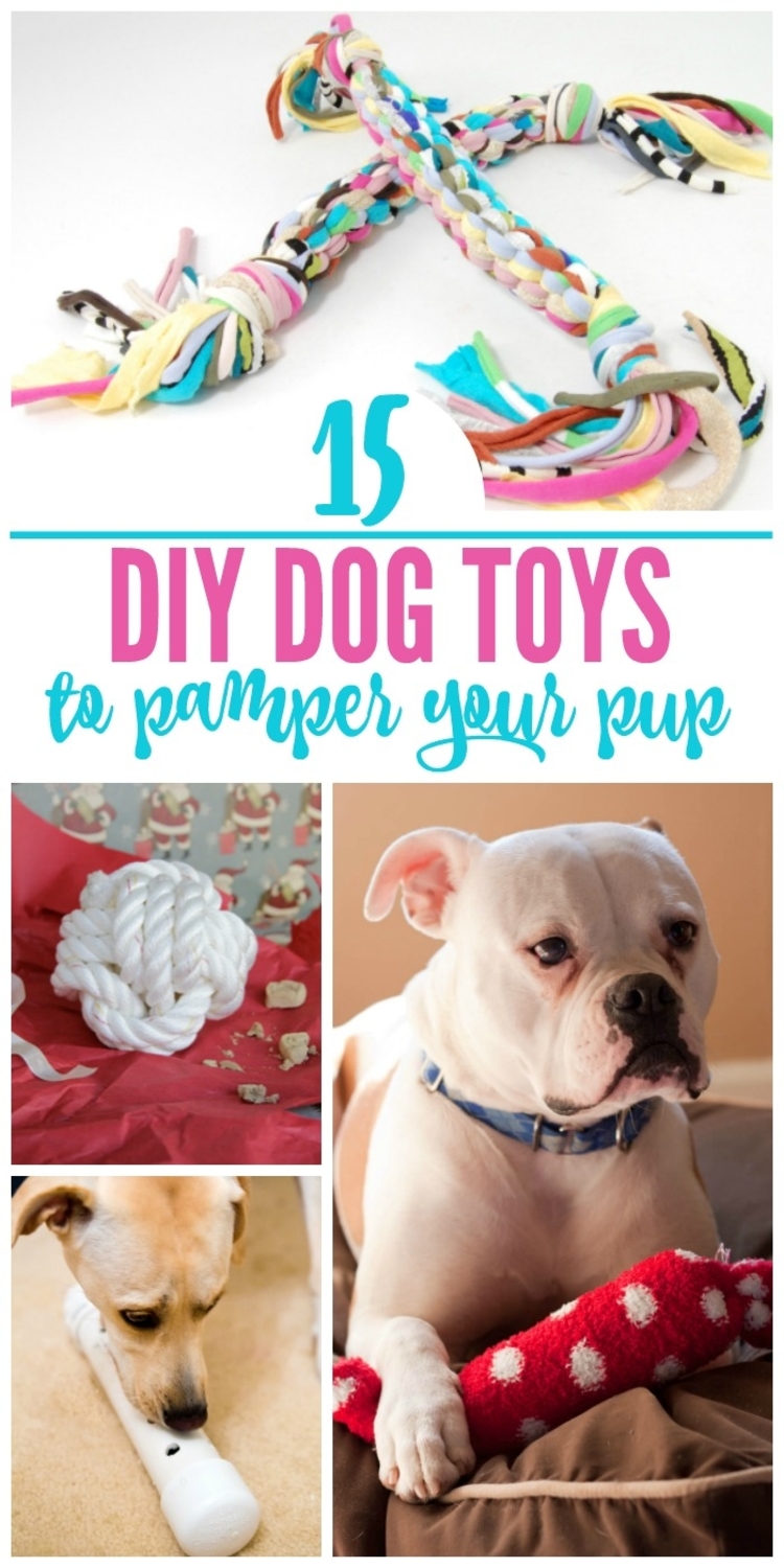 DIY Dog Toys