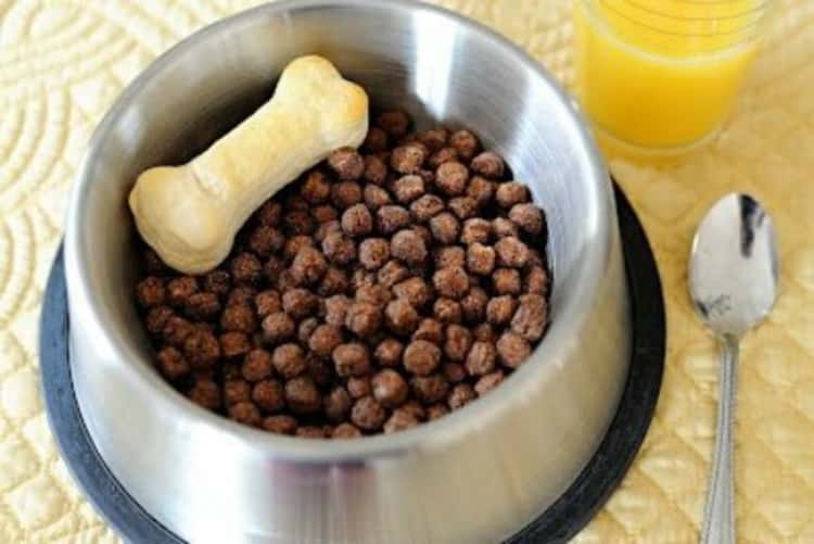 Cocoa Puffs And a Bone-Shaped Biscuit in a dog bowl to give the impression of eating dog food 