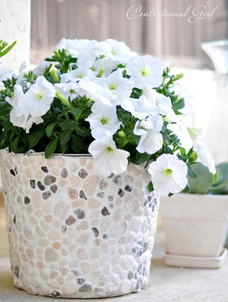 reused paint can to make organic planter that's decorated with river rocks