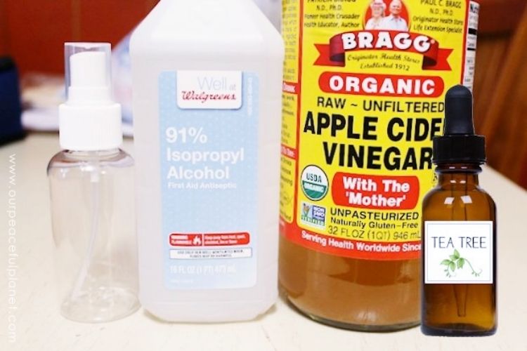 DIY shoe spray ingredients featured together