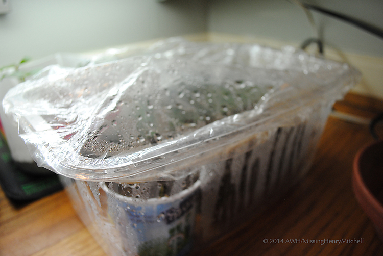 using shower cap for gardening