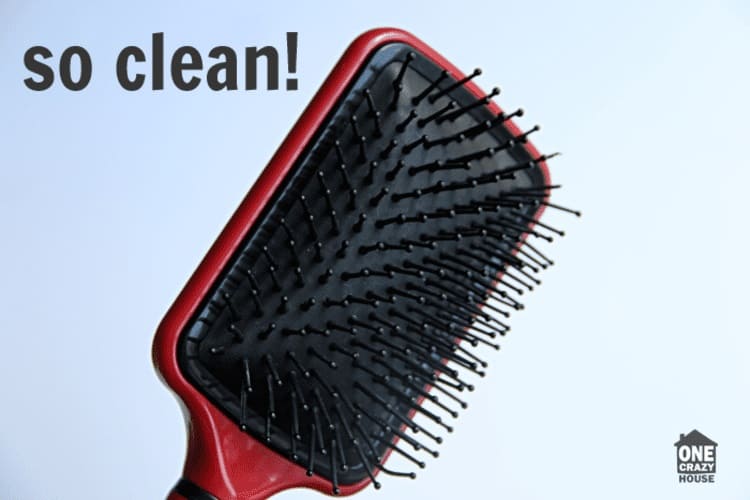 red plastic hair brush with black bristles on blue background