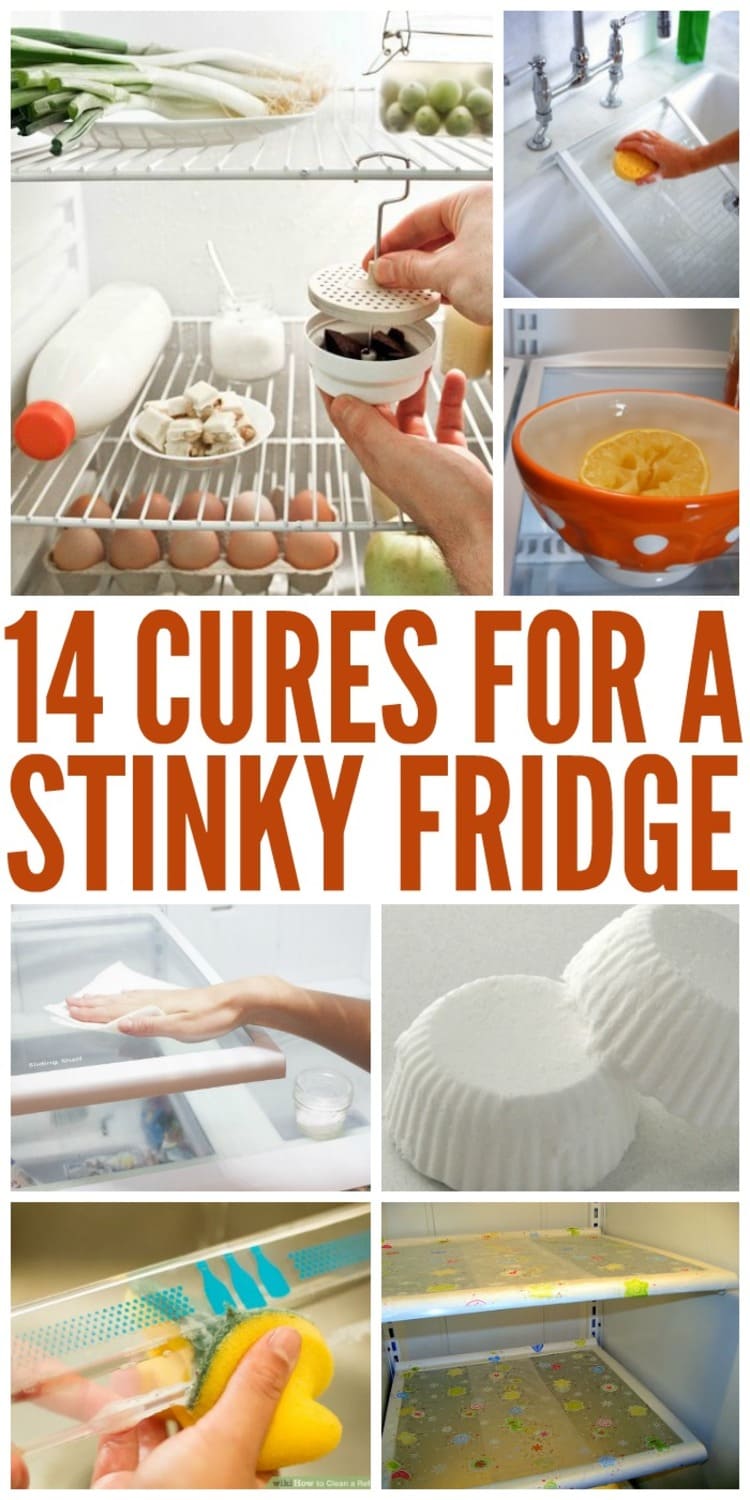 14 cures for stinky fridge, hacks lemon in a bowl, coffee filter