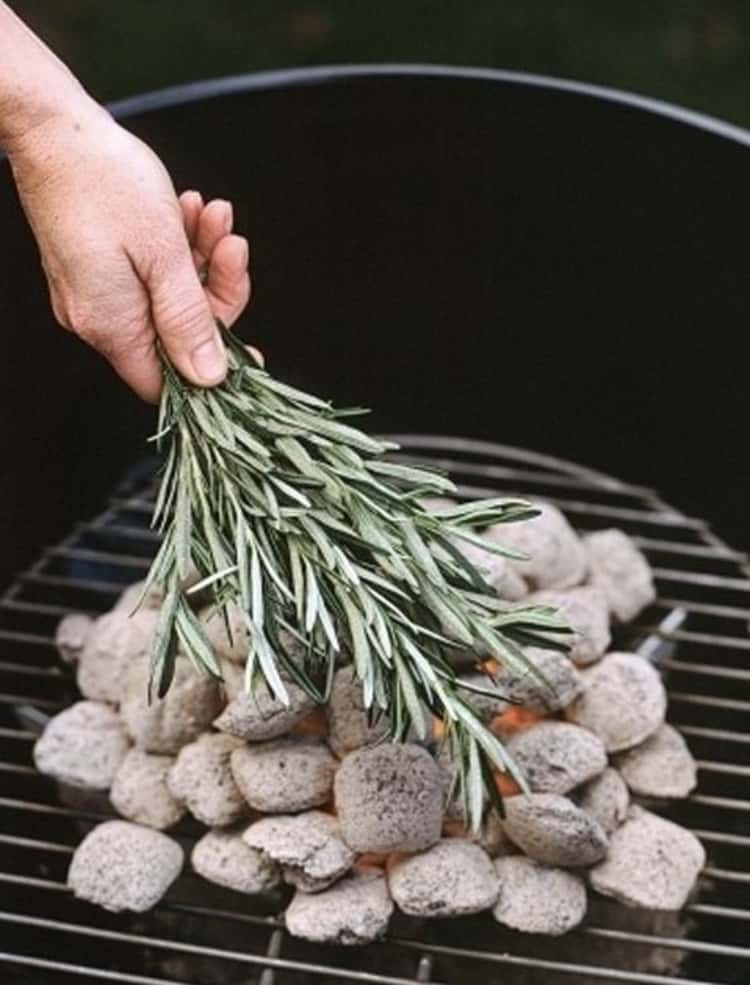 hand putting fresh sage sprigs on a hot charcoal grill