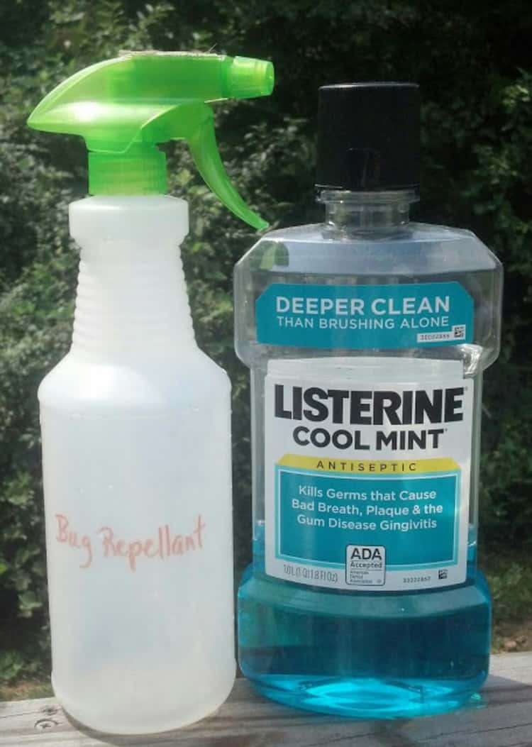 spray bottle and bottle of Listerine on a table next to each other