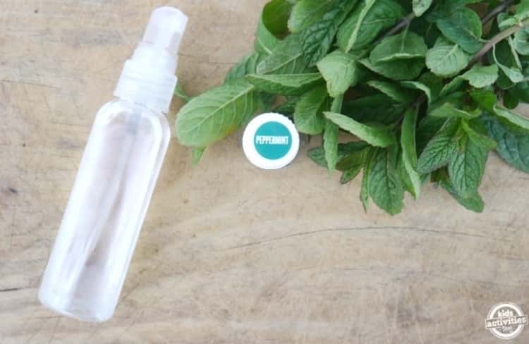 spray bottle lying on a table with leaves of fresh peppermint