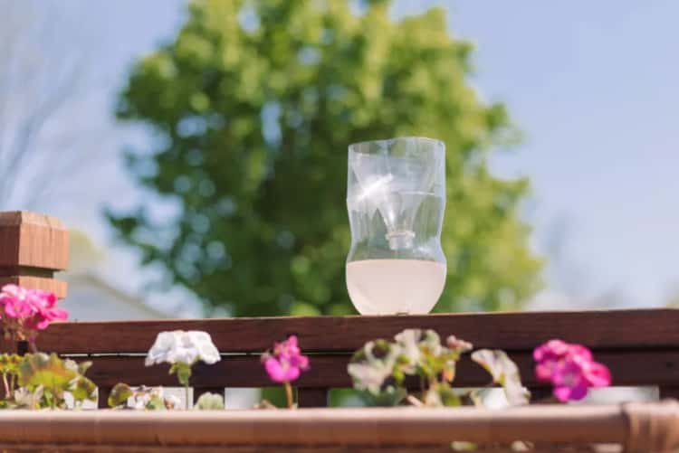 A DIY wasp trap sitting on a ledge with a tree in the background