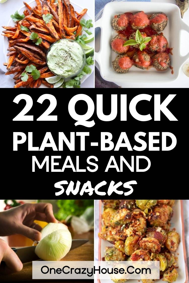 quick plant based meals and snacks